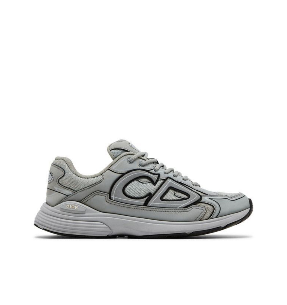 Dior B30 Reflective CD30 Grey